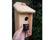 Hd Northwoods Cedar Birdhouse