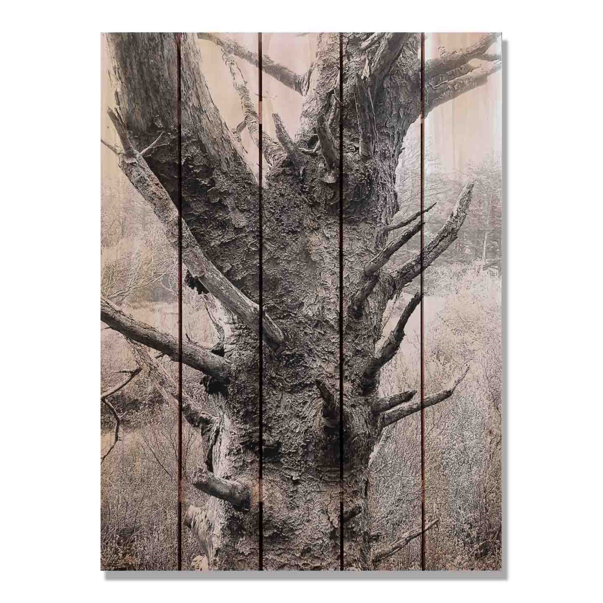 Day Dream HQ SS2836 28 x 36 in. Still Standing Inside & Outside Cedar Wall Art