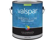 Int Sat White Paint 027.0003400.007