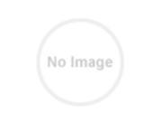 Paddock Pivot Dual Arm