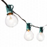 G40 Globe String Lights with 25 Clear Bulbs by Deneve® - UL Listed Commercial Quality String Lights Perfect for Indoor / Outdoor Use - 3-YEAR 100% Satisfaction Guarantee on Light String! (Green)