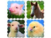 Baby Farm Animals Scent: Baby
