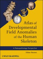 Atlas Of Developmental Field Anomalies Of The Human Skeleton: A Paleopathology Perspective