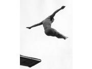 Miller Anderson (1922-1965) Namerican Diver Competing In The Mens 3 Meter Springboard Event At The 1952 Summer Olympics In Helsinki Finland Poster Print By  (18