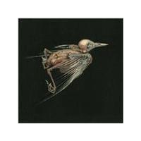 Jenny Hval & Susanna - Meshes of Voice (Music CD)