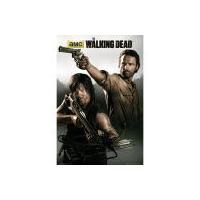The Walking Dead Banner - Maxi Poster - 61 x 91.5cm