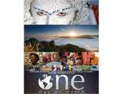 One Day On Earth