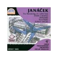 Czech Philharmonic Orchestra - Wandering Of A Little Soul (Music CD)