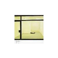 Dead Or American - Ends