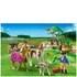 Playmobil Horse Farm Paddock with Horses and Pony (5227)