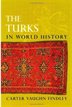 The Turks In World History