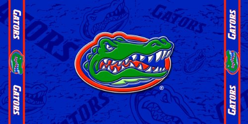 NCAA Florida Gators Fiber Reactive Beach Towel