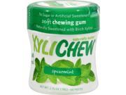 Xylichew Chewing Gum - Sugar Free Spearmint - 60 Piece Jar - Case Of 4 Candy And Chewing Gum