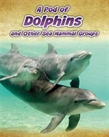 A Pod Of Dolphins: And Other Sea Mammal Groups