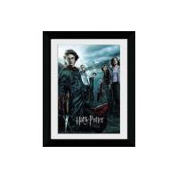 Harry Potter and the Goblet of Fire Main - Collector Print - 30 x 40cm