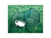 Kittywalk Curves (2)