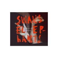 Manuel Tur - Swans Reflecting Elephants