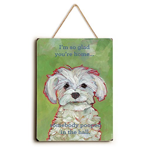 One Bella Casa 0004-3916-25R 9 x 12 in. I Am So Glad Youre Home Solid Wood Wall Decor Rope Hanger by Ursula Dodge
