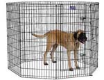 Midwest 558-48dr 48 Inch High Exercise Pen