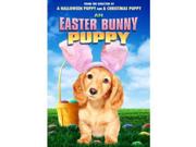 An Easter Bunny Puppy