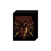 Pantera Hell Cowboy - 50 x 40cm Canvas