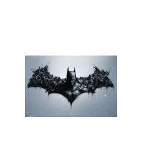 Batman Arkham Origins Arkham Bats Maxi Poster (61 x 91.5cm)
