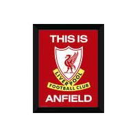 Liverpool This Is Anfield - 16"" x 12"" Framed Photographic