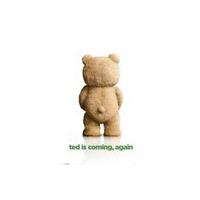 Ted 2 Coming - Maxi Poster - 61 x 91.5cm
