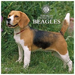 Beagles 2015 Wall Calendar