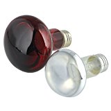 Zoo Med Basking Bulb Combo Pack Day and Night 75 Watts