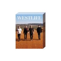 Westlife Retro - 50 x 40cm Canvas
