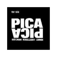 Peter Brotzmann - Pica Pica