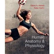 Human Anatomy & Physiology