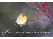 American Goldfinch (carduelis Tristis) In Common Winterberry (ilex Verticillata) In Winter Marion Illinois Usa Poster Print (17 X 11)
