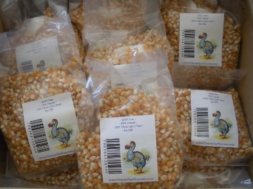 Dodo Brands Firecracker Popcorn, 16.0-Ounce (Pack of 6)