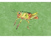 Grasshopper On Avacado Fabric Placemat