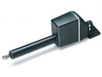 Raymarine M81134 24v Type 2 Long Linear Drive