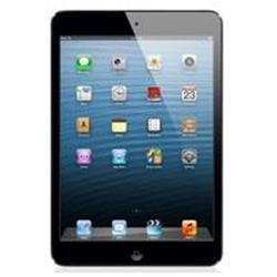 Apple iPad mini with Wi-Fi   Cellular (Verizon) 64GB Black
