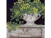 Persil Poster Print By  Janet Kruskamp  (12 X 12)