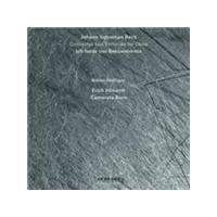 Johann Sebastian Bach: Konzerte und Sinfonie f�r Oboe; Ich hatte viel Bek�mmernis (Music CD)