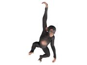 Design Toscano Ne80079 Hanging Chimp Jungle Monkey Statue