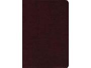 Zondervan Study Bible Lea