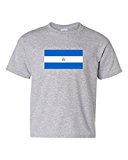 Nicaragua Country Flag DT Novelty Youth Kids T-Shirt Tee (Medium, Sports Gray)