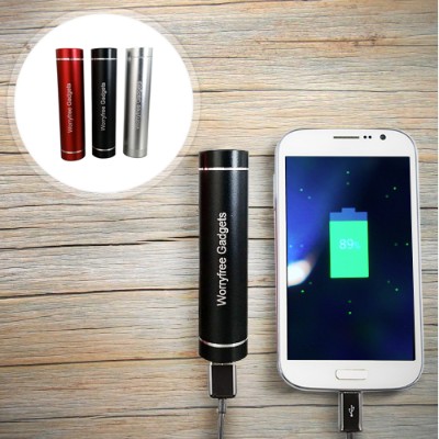 Worry Free Gadgets Wfg-pb-brs Power Bank 2600 Mah (usb) - Silver