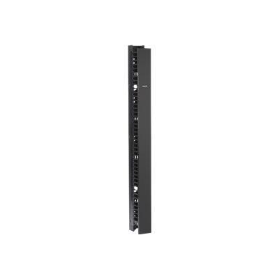 Black Box Dcmv45u6d Deluxe - Rack Cable Management Tray - 45u - For Deluxe Rear Post & Gate Kit  Premier Shelves Double-sided