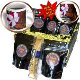 cgb_52035_1 Jos Fauxtographee Realistic - A Peppermint Pink and White Striped Flower In a Bed with Green Leaves Growing Near Cement - Coffee Gift Baskets - Coffee Gift Basket