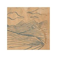 Wooden Wand & the Vanishing Voice - Farmer's Corner (Music CD)