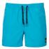 Quiksilver Men's Volley Swim Shorts - Hawaiian Ocean - W30