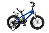 Royalbaby Freestyle Kid’s Bike, 16 inch with Training Wheels and Kickstand, Blue, Gift for Boys and Girls