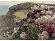 Our English Coasts (strayed Sheep), 1852, William Holman Hunt (1827-1910 British) , Oil On Canvas, Tate Gallery, London,
